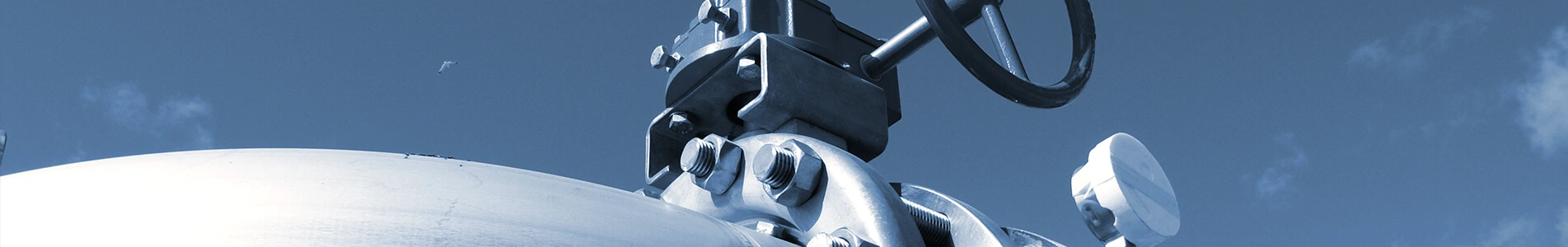 ထုတ်ကုန်များ