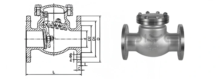 DIN Swing Flanged Check Valves 