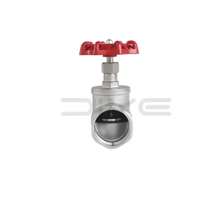 Stainless Steel Globe Valve