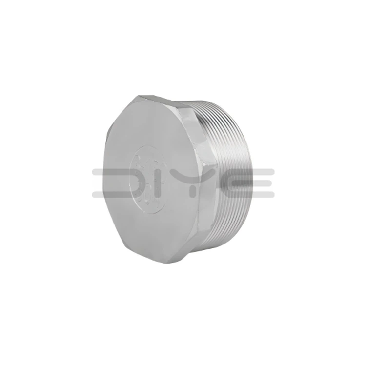 Stainless Steel Hex Plug